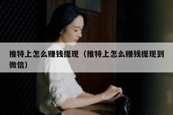 推特上怎么赚钱提现（推特上怎么赚钱提现到微信） 第1张