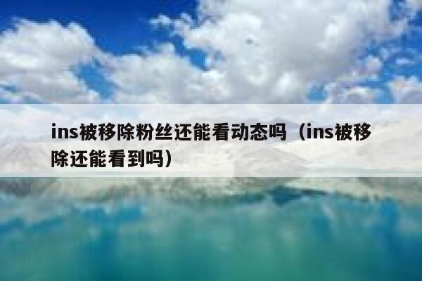 ins被移除粉丝还能看动态吗（ins被移除还能看到吗） 第1张