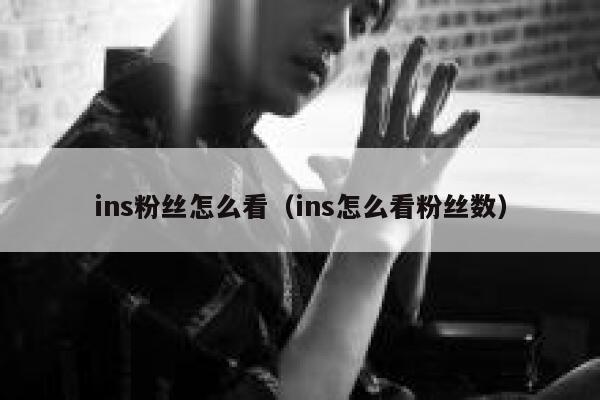 ins粉丝怎么看（ins怎么看粉丝数） 第1张