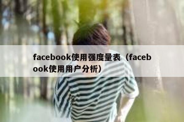 facebook使用强度量表（facebook使用用户分析） 第1张