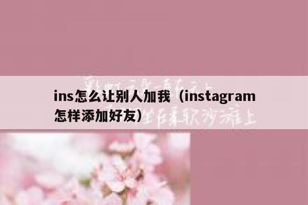 ins怎么让别人加我(instagram怎样添加好友) 第1张 ins怎么让别人加我(instagram怎样添加好友) 第1张