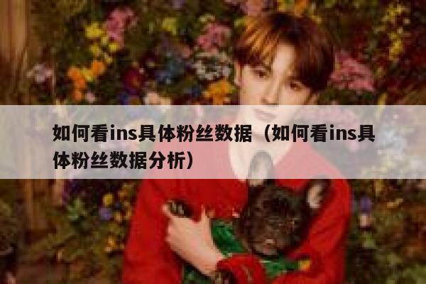 如何看ins具体粉丝数据（如何看ins具体粉丝数据分析） 第1张