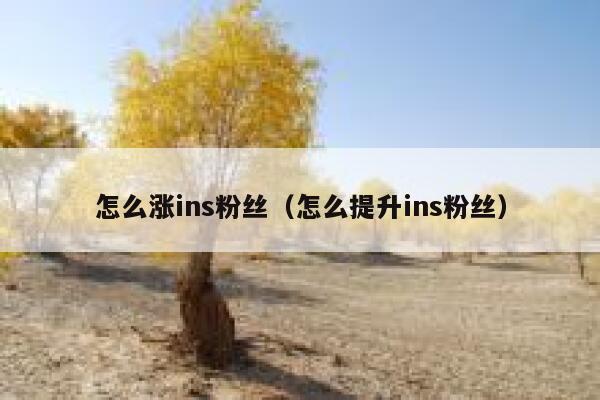 怎么涨ins粉丝（怎么提升ins粉丝） 第1张