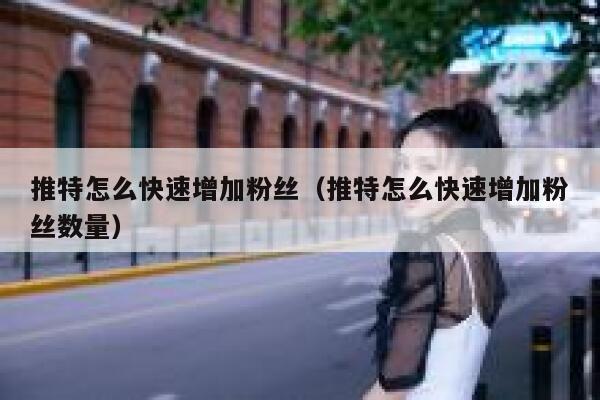 推特怎么快速增加粉丝(推特怎么快速增加粉丝数量) 第1张 推特怎么快速增加粉丝(推特怎么快速增加粉丝数量) 第1张