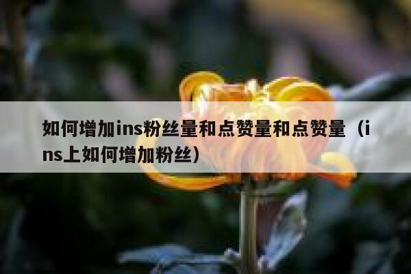 如何增加ins粉丝量和点赞量和点赞量(ins上如何增加粉丝) 第1张 如何增加ins粉丝量和点赞量和点赞量(ins上如何增加粉丝) 第1张