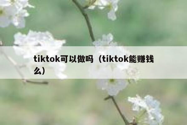 tiktok可以做吗(tiktok能赚钱么) 第1张 tiktok可以做吗(tiktok能赚钱么) 第1张