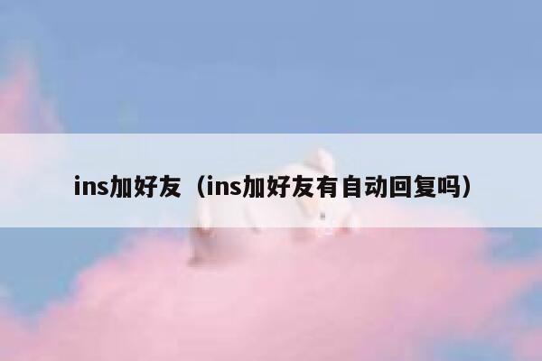 ins加好友（ins加好友有自动回复吗） 第1张