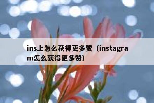 ins上怎么获得更多赞(instagram怎么获得更多赞) 第1张 ins上怎么获得更多赞(instagram怎么获得更多赞) 第1张