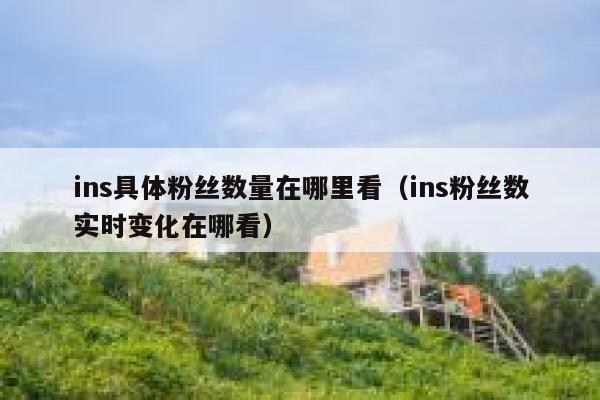 ins具体粉丝数量在哪里看(ins粉丝数实时变化在哪看) 第1张 ins具体粉丝数量在哪里看(ins粉丝数实时变化在哪看) 第1张