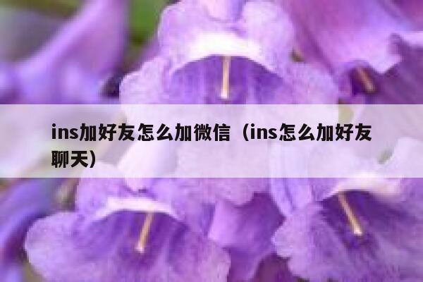 ins加好友怎么加微信(ins怎么加好友聊天) 第1张 ins加好友怎么加微信(ins怎么加好友聊天) 第1张