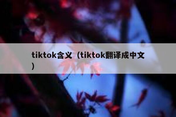 tiktok含义(tiktok翻译成中文) 第1张 tiktok含义(tiktok翻译成中文) 第1张