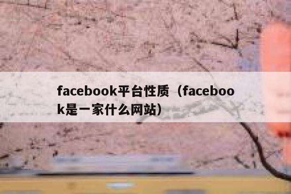 facebook平台性质（facebook是一家什么网站） 第1张