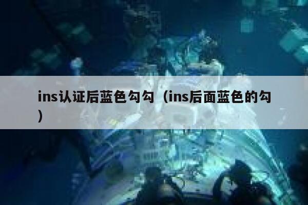 ins认证后蓝色勾勾(ins后面蓝色的勾) 第1张 ins认证后蓝色勾勾(ins后面蓝色的勾) 第1张