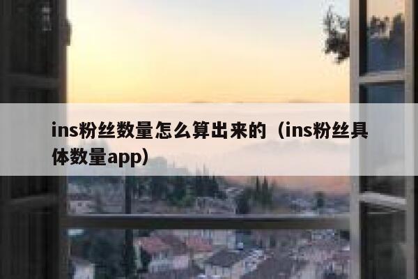 ins粉丝数量怎么算出来的（ins粉丝具体数量app） 第1张