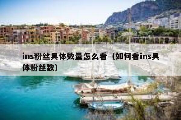 ins粉丝具体数量怎么看（如何看ins具体粉丝数） 第1张