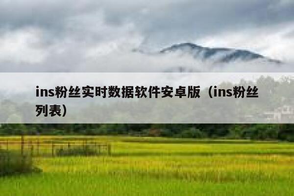 ins粉丝实时数据软件安卓版（ins粉丝列表） 第1张