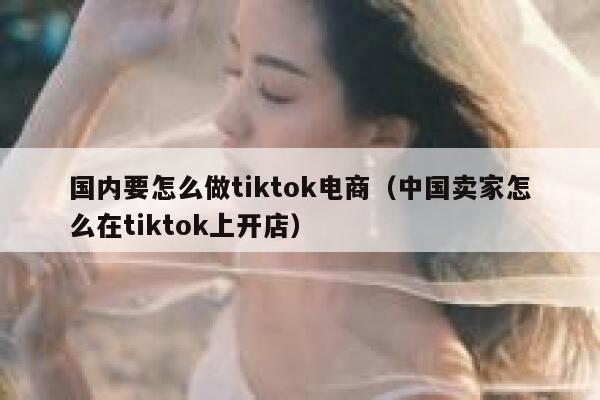 国内要怎么做tiktok电商（中国卖家怎么在tiktok上开店） 第1张