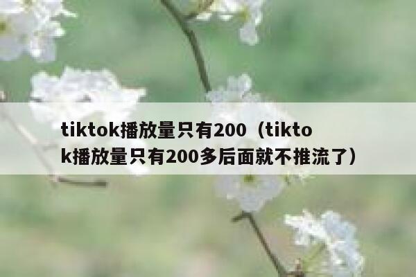 tiktok播放量只有200（tiktok播放量只有200多后面就不推流了） 第1张