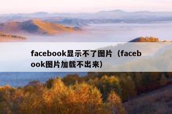 facebook显示不了图片（facebook图片加载不出来） 第1张