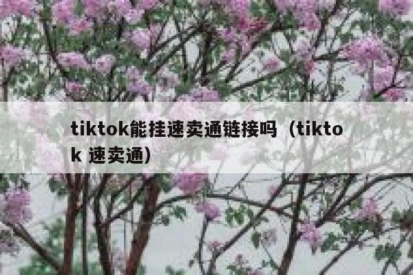 tiktok能挂速卖通链接吗（tiktok 速卖通） 第1张