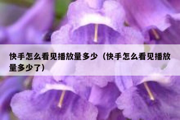 快手怎么看见播放量多少（快手怎么看见播放量多少了） 第1张