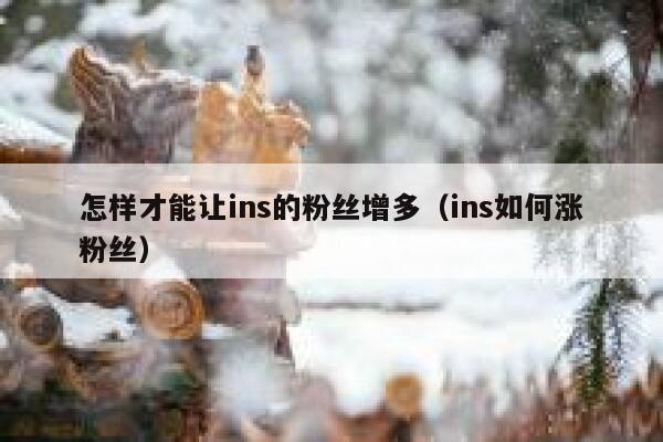 怎样才能让ins的粉丝增多（ins如何涨粉丝） 第1张