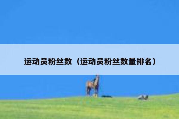 运动员粉丝数（运动员粉丝数量排名） 第1张