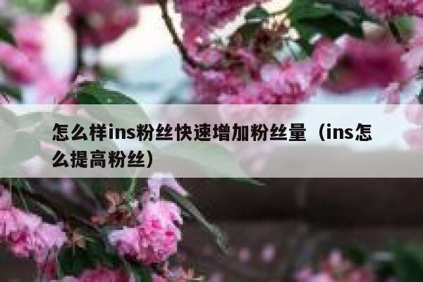 怎么样ins粉丝快速增加粉丝量（ins怎么提高粉丝） 第1张