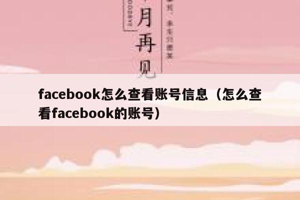 facebook怎么查看账号信息(怎么查看facebook的账号) 第1张 facebook怎么查看账号信息(怎么查看facebook的账号) 第1张