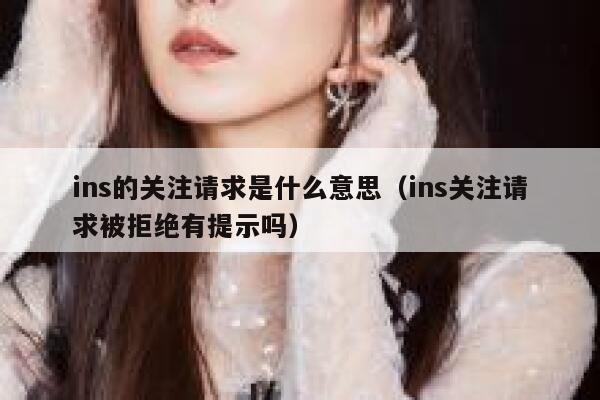 ins的关注请求是什么意思（ins关注请求被拒绝有提示吗） 第1张