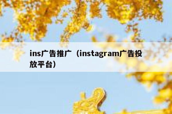 ins广告推广(instagram广告投放平台) 第1张 ins广告推广(instagram广告投放平台) 第1张
