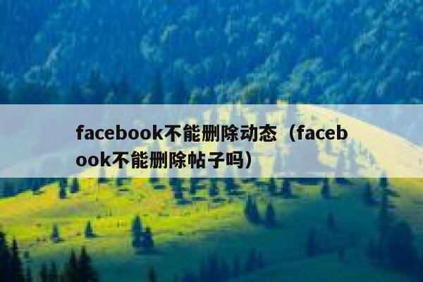 facebook不能删除动态（facebook不能删除帖子吗） 第1张