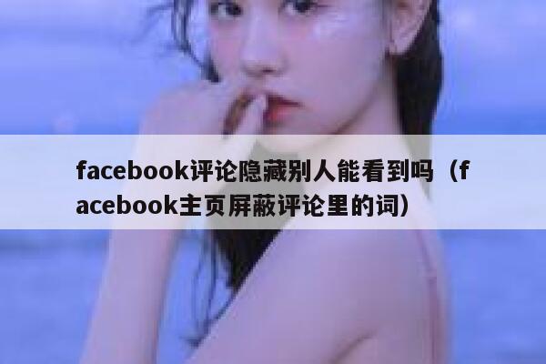facebook评论隐藏别人能看到吗（facebook主页屏蔽评论里的词） 第1张