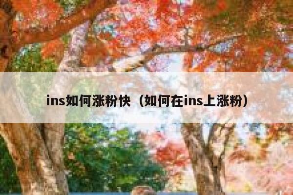ins如何涨粉快（如何在ins上涨粉） 第1张