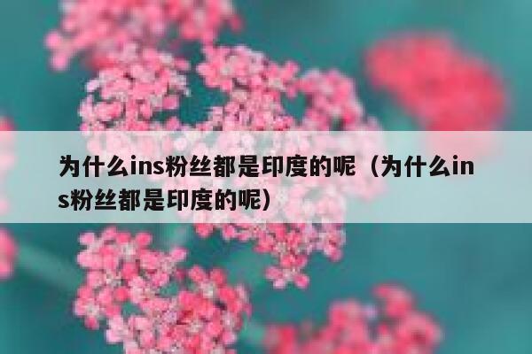 为什么ins粉丝都是印度的呢(为什么ins粉丝都是印度的呢) 第1张 为什么ins粉丝都是印度的呢(为什么ins粉丝都是印度的呢) 第1张