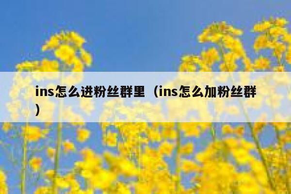 ins怎么进粉丝群里（ins怎么加粉丝群） 第1张