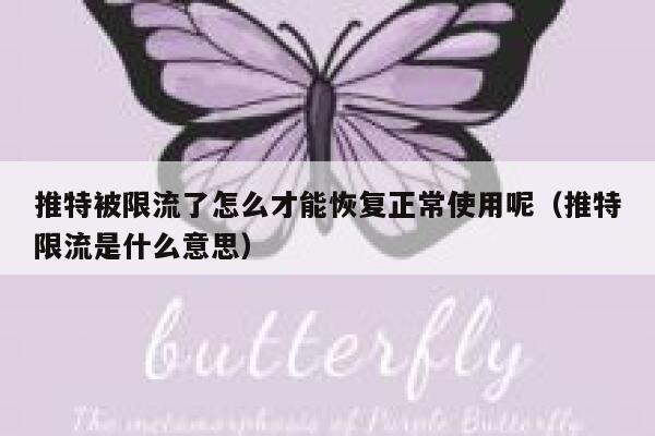 推特被限流了怎么才能恢复正常使用呢（推特限流是什么意思） 第1张