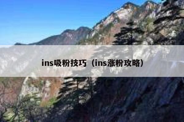ins吸粉技巧（ins涨粉攻略） 第1张