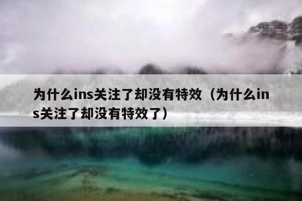 为什么ins关注了却没有特效（为什么ins关注了却没有特效了） 第1张