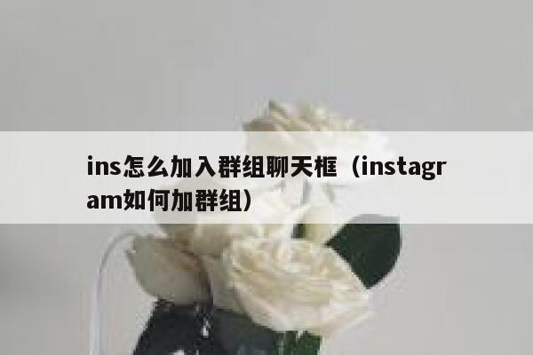 ins怎么加入群组聊天框(instagram如何加群组) 第1张 ins怎么加入群组聊天框(instagram如何加群组) 第1张
