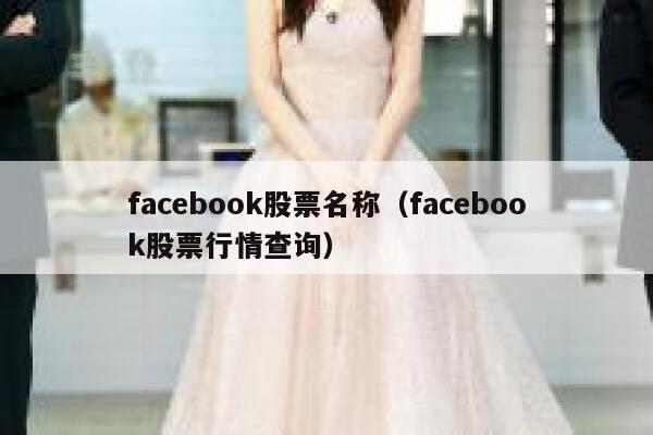 facebook股票名称（facebook股票行情查询） 第1张