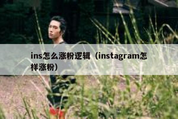 ins怎么涨粉逻辑（instagram怎样涨粉） 第1张