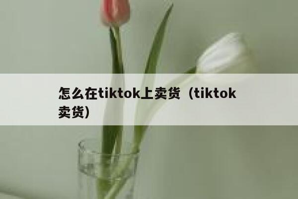 怎么在tiktok上卖货（tiktok 卖货） 第1张