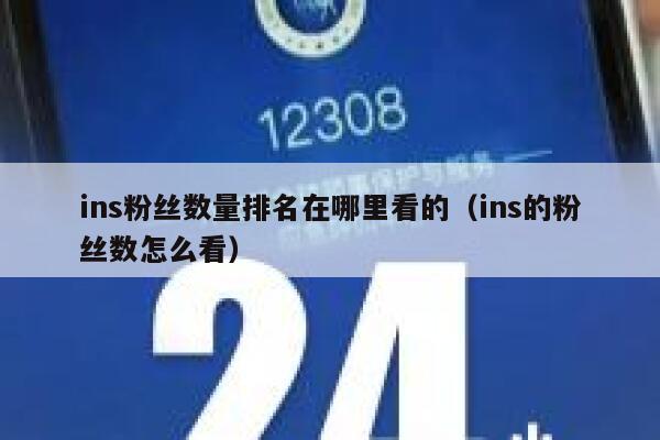 ins粉丝数量排名在哪里看的（ins的粉丝数怎么看） 第1张
