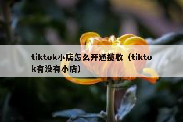tiktok小店怎么开通揽收(tiktok有没有小店) 第1张 tiktok小店怎么开通揽收(tiktok有没有小店) 第1张