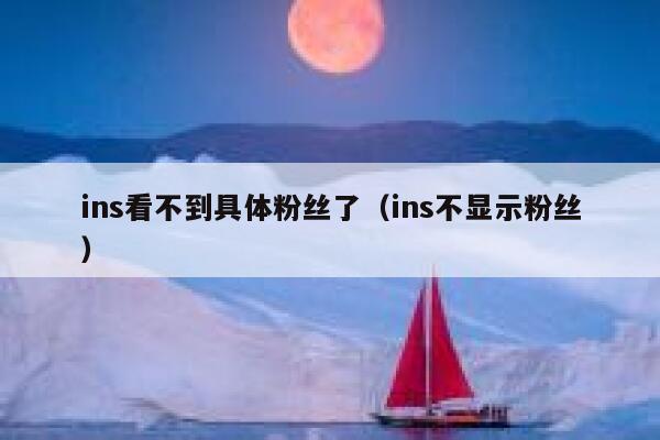 ins看不到具体粉丝了(ins不显示粉丝) 第1张 ins看不到具体粉丝了(ins不显示粉丝) 第1张