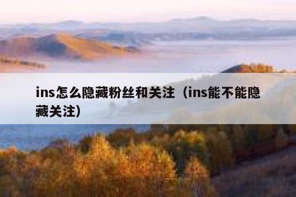 ins怎么隐藏粉丝和关注(ins能不能隐藏关注) 第1张 ins怎么隐藏粉丝和关注(ins能不能隐藏关注) 第1张