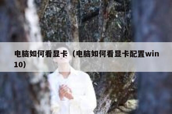 电脑如何看显卡(电脑如何看显卡配置win10) 第1张 电脑如何看显卡(电脑如何看显卡配置win10) 第1张