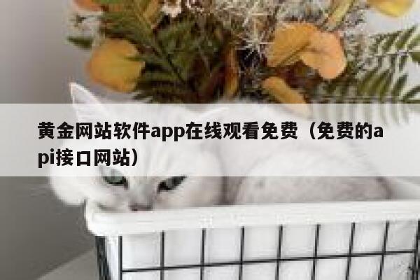 黄金网站软件app在线观看免费(免费的api接口网站) 第1张 黄金网站软件app在线观看免费(免费的api接口网站) 第1张
