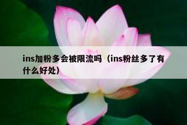ins加粉多会被限流吗（ins粉丝多了有什么好处） 第1张
